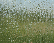 Rain Texture Glass